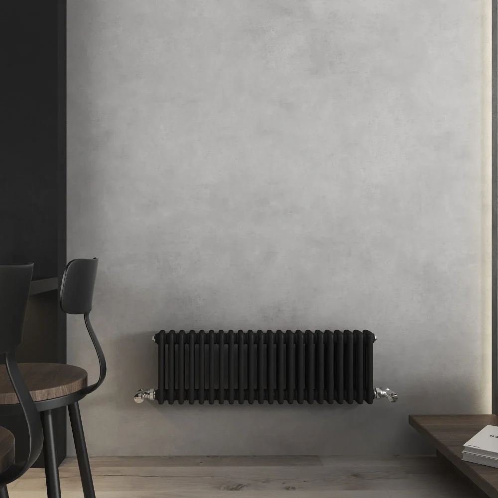 Vintage Black Horizontal Column Radiator 300x999 1