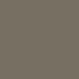 Beige Grey (RAL 7006)