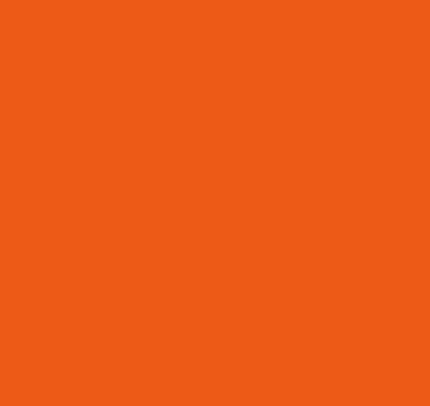 Orange (RAL 2004)